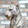 Leopard D10058 Image 2