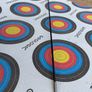 Archery set Bow and arrow Image 3
