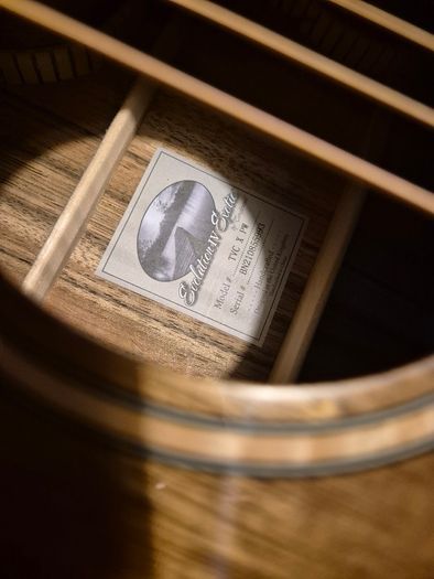 Tanglewood TVC X PW Exotic Electro Acoustic