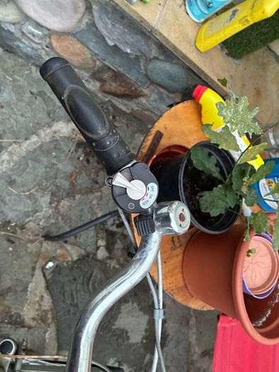 Electric Bikes