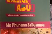 Gaeilge Abu 3 workbook