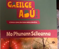 Gaeilge Abu 3 workbook