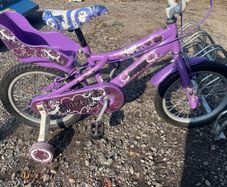 beautiful girls bike