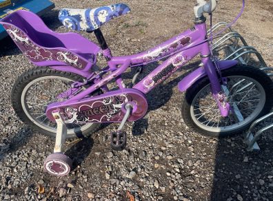 beautiful girls bike