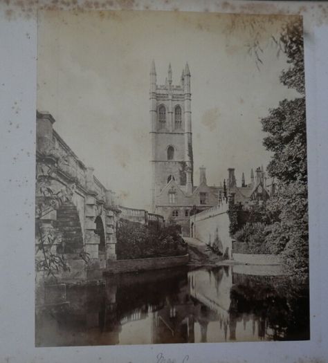 Victorian Photograph Album Photo Card Album  Antique Cabinet Card Photographs Photos 21 Page 42 Photos