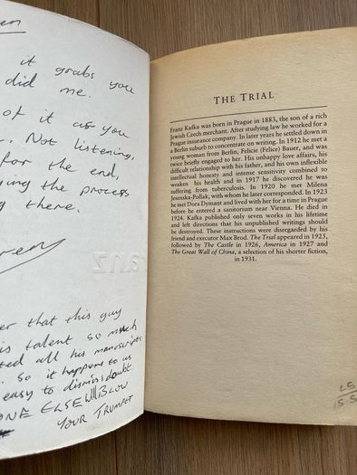 The Trial (Franz Kafka)