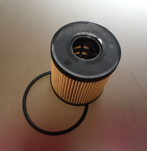 Oil Filter (Fiat Scudo 2007 on)