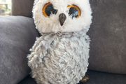 TY Owl Soft Toy