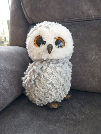 TY Owl Soft Toy