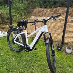 ebike