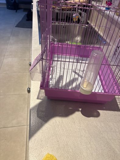 bird cage