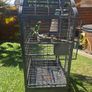 Large parrot cage Image 2