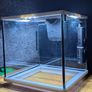Aquarium Image 5