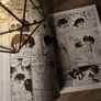 Ranma 1/2 ! Volume 2 ! Manga ! Rumiko Takahashi ! 1995 ! by VIZ Media ! Image 9