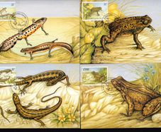1995 Ireland Fauna & Flora: Reptiles and Amphibians Se-tenant Stamps Maximum Cards First Day of Issue Cancel with matching stamp.