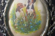 framed dog photo.