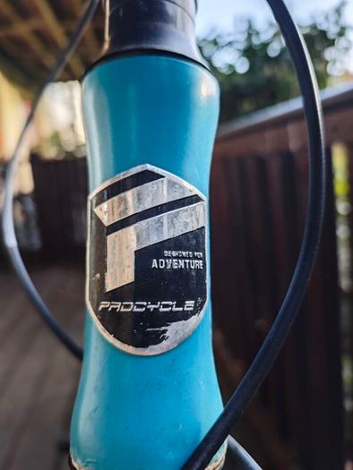 Procycle Vogue bicycle