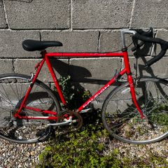 Classic Raleigh bike