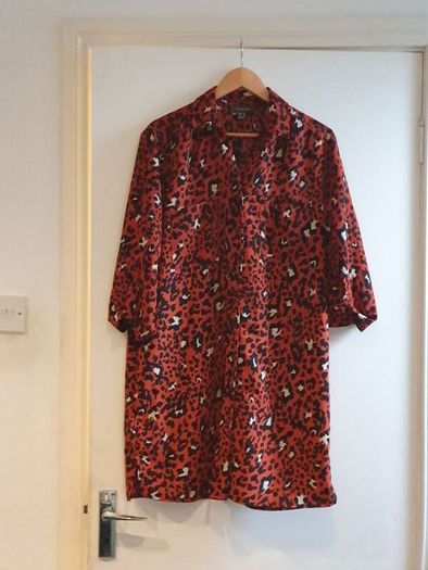 Ladies Shirt dress