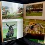 RUBY - The Autobiography -  By Ruby Walsh - Hardback Image 3