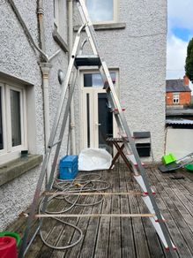 Platform ladder