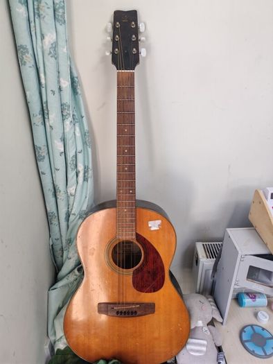 Guitar