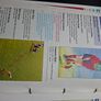 Camogie & Hurling Training Manual Image 4