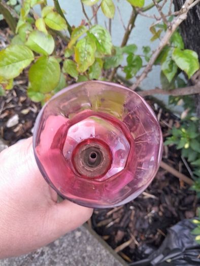 19ct  crambery oil lamp