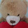 Large Teddy holding a heart Image 2