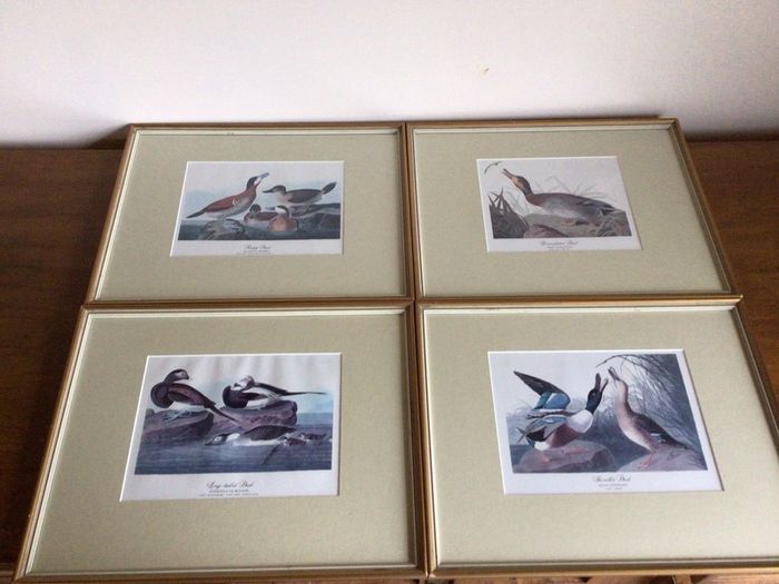 4 large wildfowl prints Framed