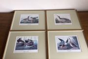 4 large wildfowl prints Framed