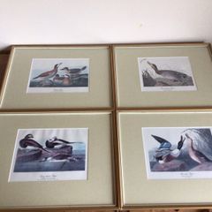 4 large wildfowl prints Framed