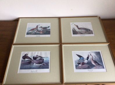 4 large wildfowl prints Framed