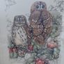 Limited Edition framed 'Tawny Owls' by Elisabeth Luard Image 3