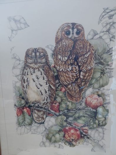 Limited Edition framed 'Tawny Owls' by Elisabeth Luard