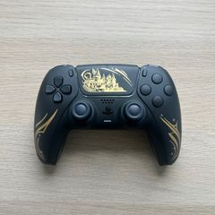 Hogwarts Legacy Themed PS5 Controller