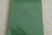 Vintage book 'British Beetles - Their Home and Habits' by Norman H. Joy