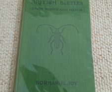 Vintage book 'British Beetles - Their Home and Habits' by Norman H. Joy