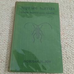 Vintage book 'British Beetles - Their Home and Habits' by Norman H. Joy