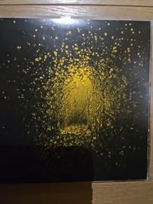 The Antlers - Burst Apart.