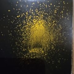 The Antlers - Burst Apart.