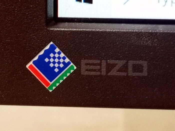 EIZO ColorEdge CG241W - Professional Graphics Monitor 24'' in Excellent Condition