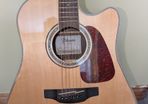Takamine gd90ce-zc (Semi-acoustic Guitar)