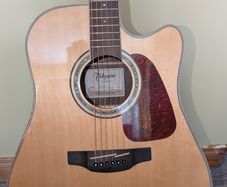 Takamine gd90ce-zc (Semi-acoustic Guitar)