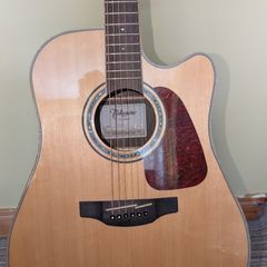 Takamine gd90ce-zc (Semi-acoustic Guitar)