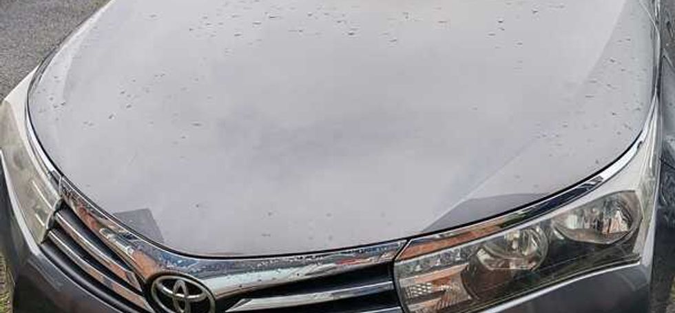 2014 Toyota Corolla Luna