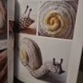 The Natural World of Needle Felting Image 10