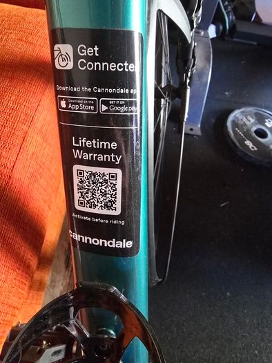 gravel bike