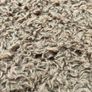 Vintage Walton English high pile wool rug Image 9