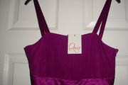 BNWT - HALF PRICE - Size: 10 - A Beautiful Dress from Rouge - 100% Silk Fully Lined - Hidden Zip Side Opening - #